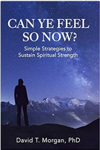 Can Ye Feel So Now? book By Dr. David Morgan
